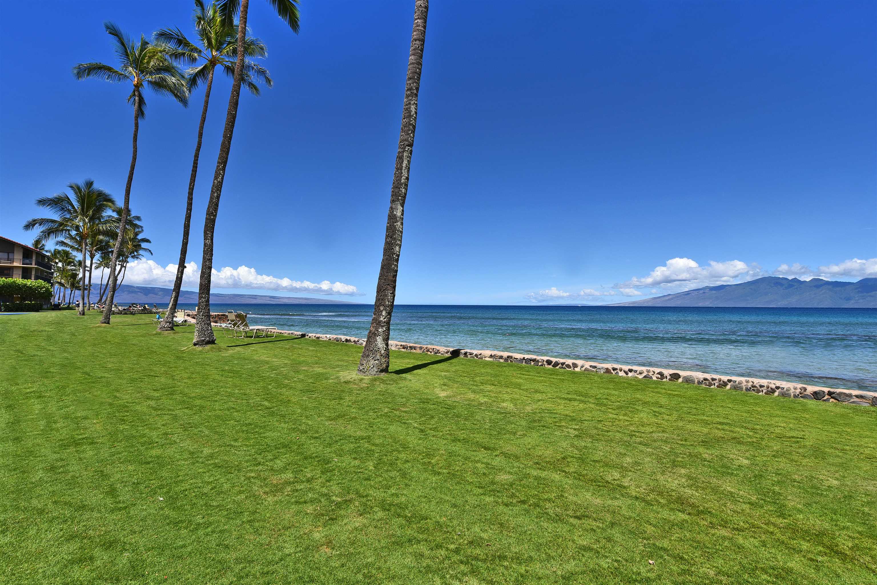 Papakea Resort I II condo # J105, Lahaina, Hawaii - photo 46 of 50