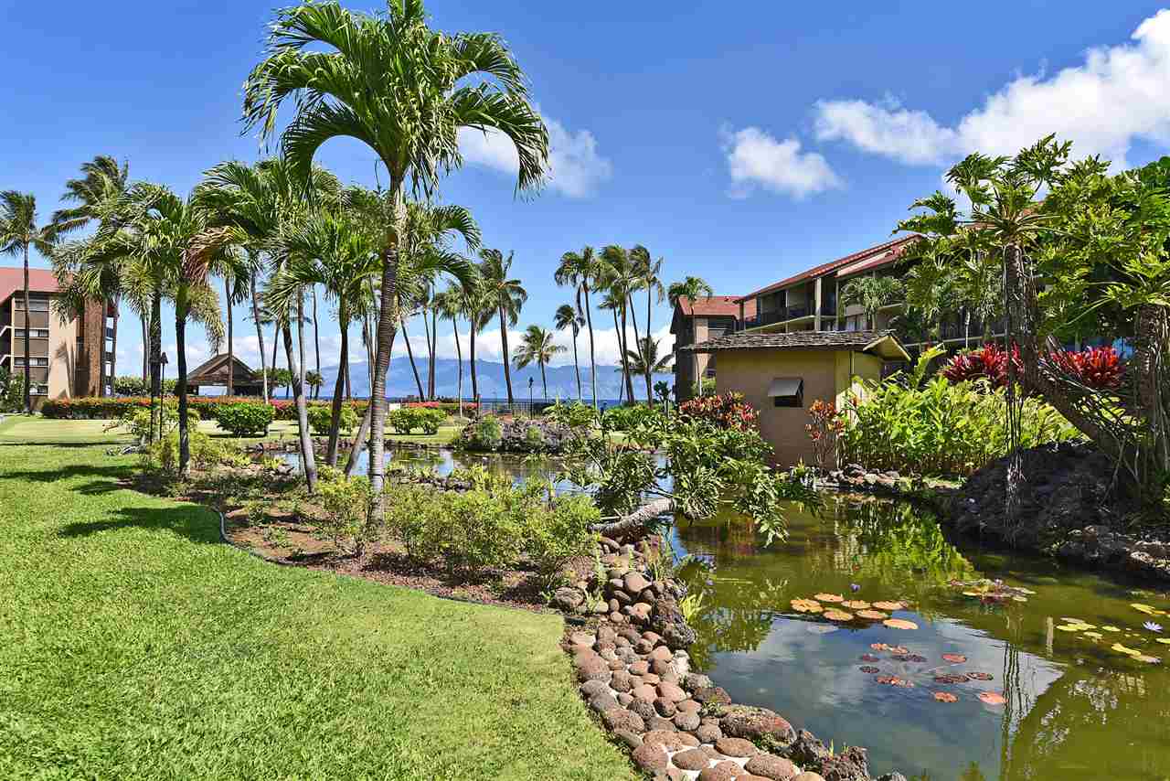 Papakea Resort I II condo # J106, Lahaina, Hawaii - photo 20 of 30