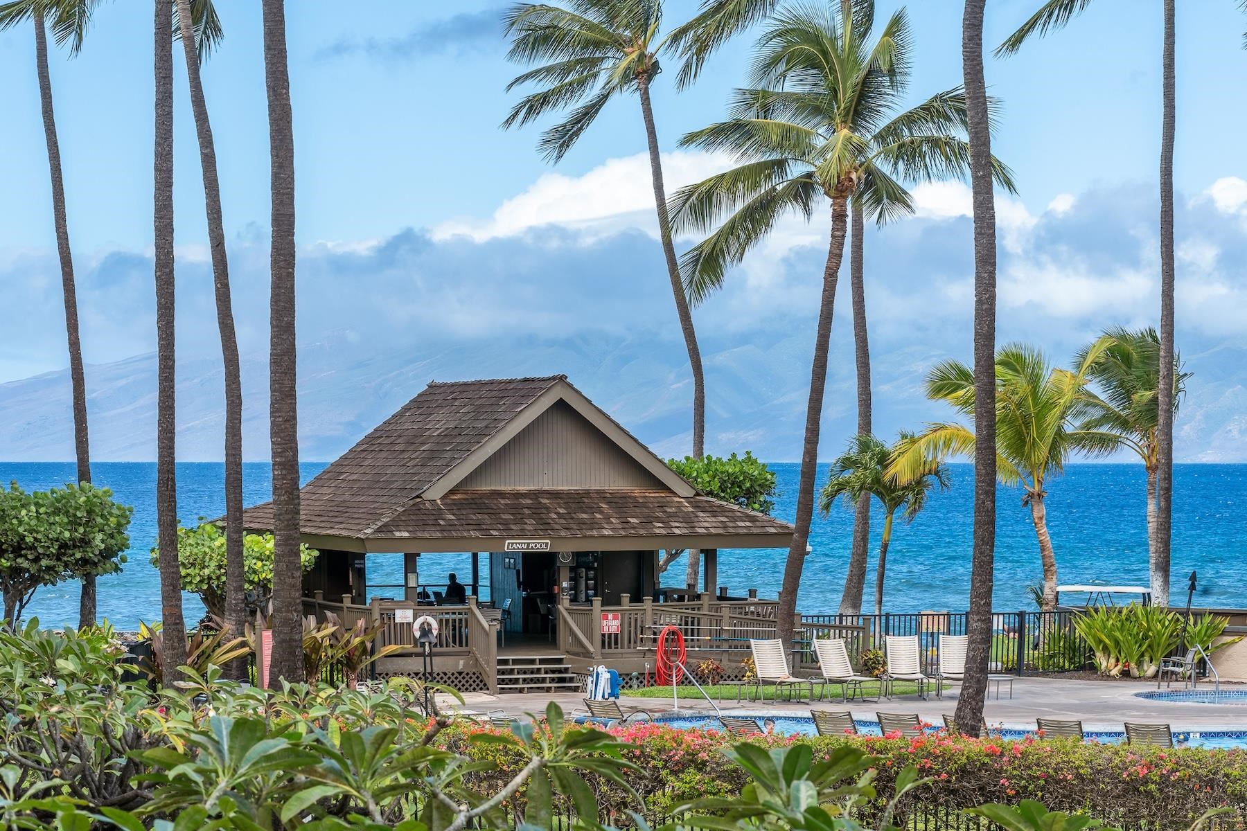 Papakea Resort I II condo # J202, Lahaina, Hawaii - photo 20 of 26