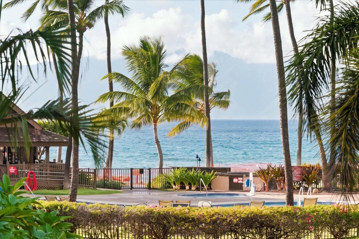 Papakea Resort I II condo # J203, Lahaina, Hawaii - photo 4 of 43