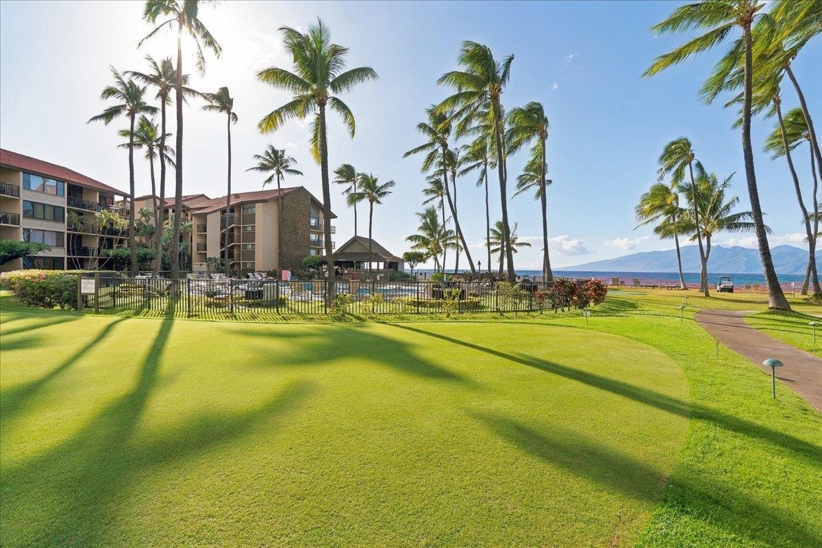 Papakea Resort I II condo # J203, Lahaina, Hawaii - photo 31 of 43