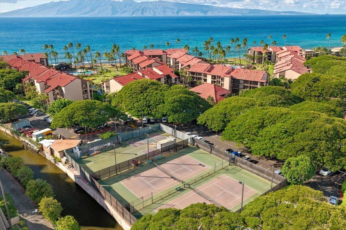 Papakea Resort I II condo # J203, Lahaina, Hawaii - photo 37 of 43