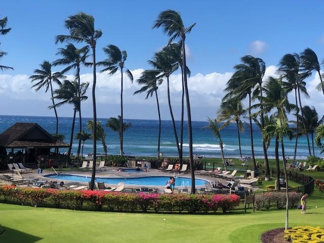 Papakea Resort I II condo # J-302, Lahaina, Hawaii - photo 28 of 30