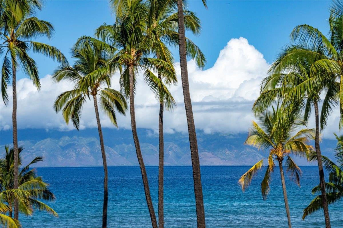 Papakea Resort I II condo # J302, Lahaina, Hawaii - photo 16 of 44