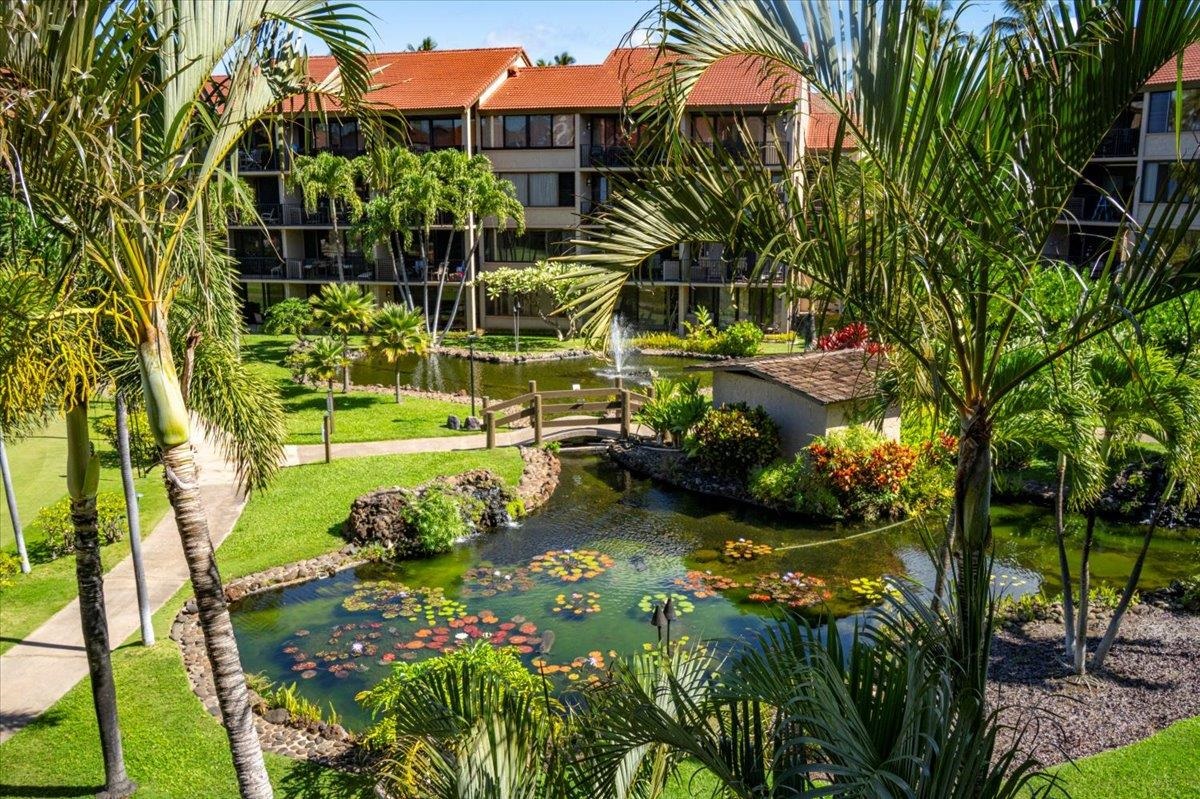Papakea Resort I II condo # J302, Lahaina, Hawaii - photo 41 of 44