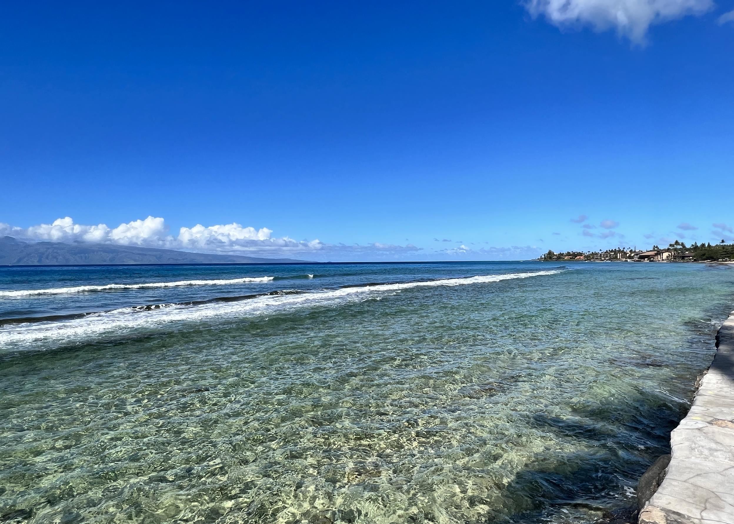 Papakea Resort I II condo # J401, Lahaina, Hawaii - photo 24 of 27