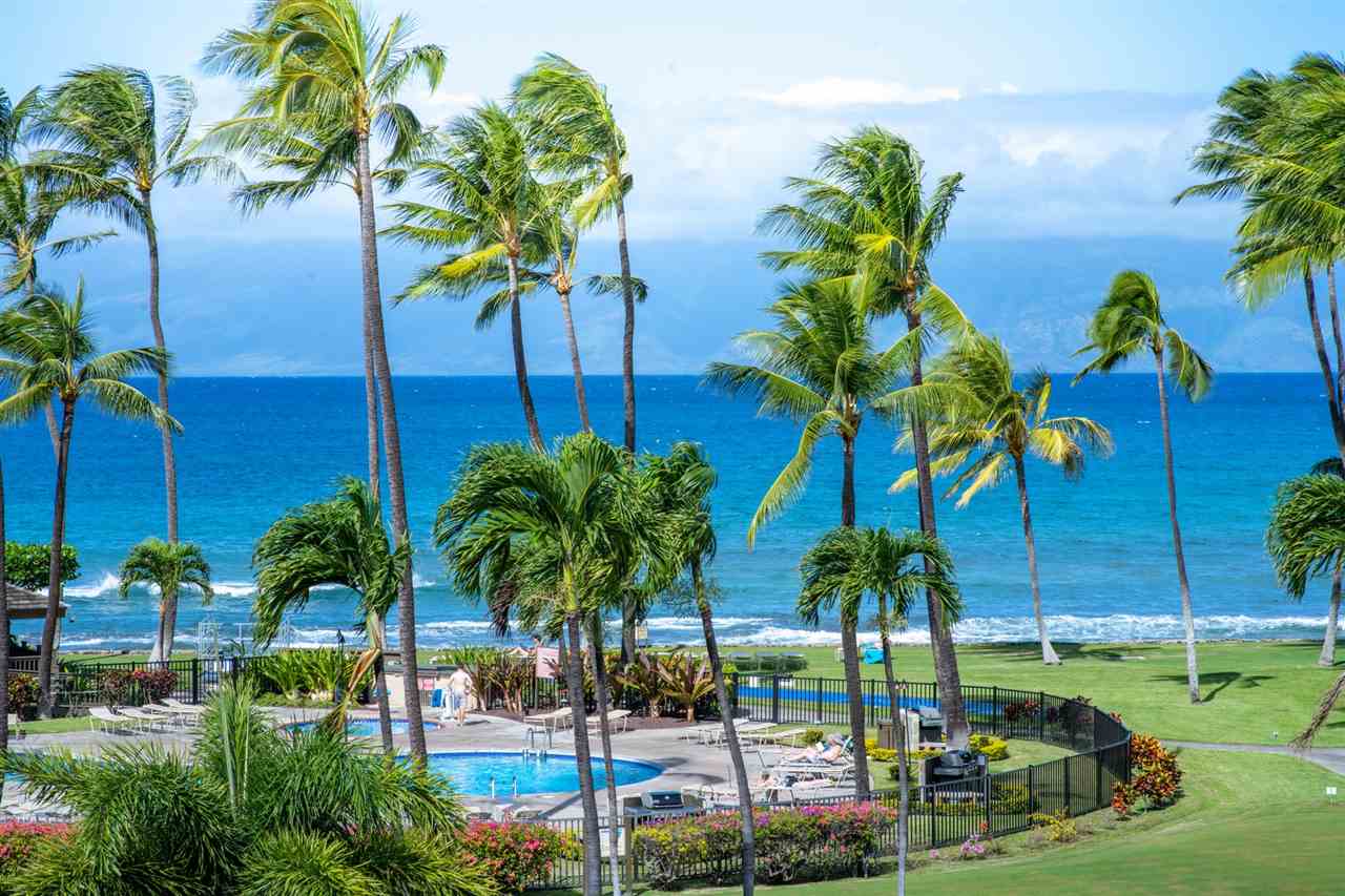 Papakea Resort I II condo # J405, Lahaina, Hawaii - photo 21 of 21