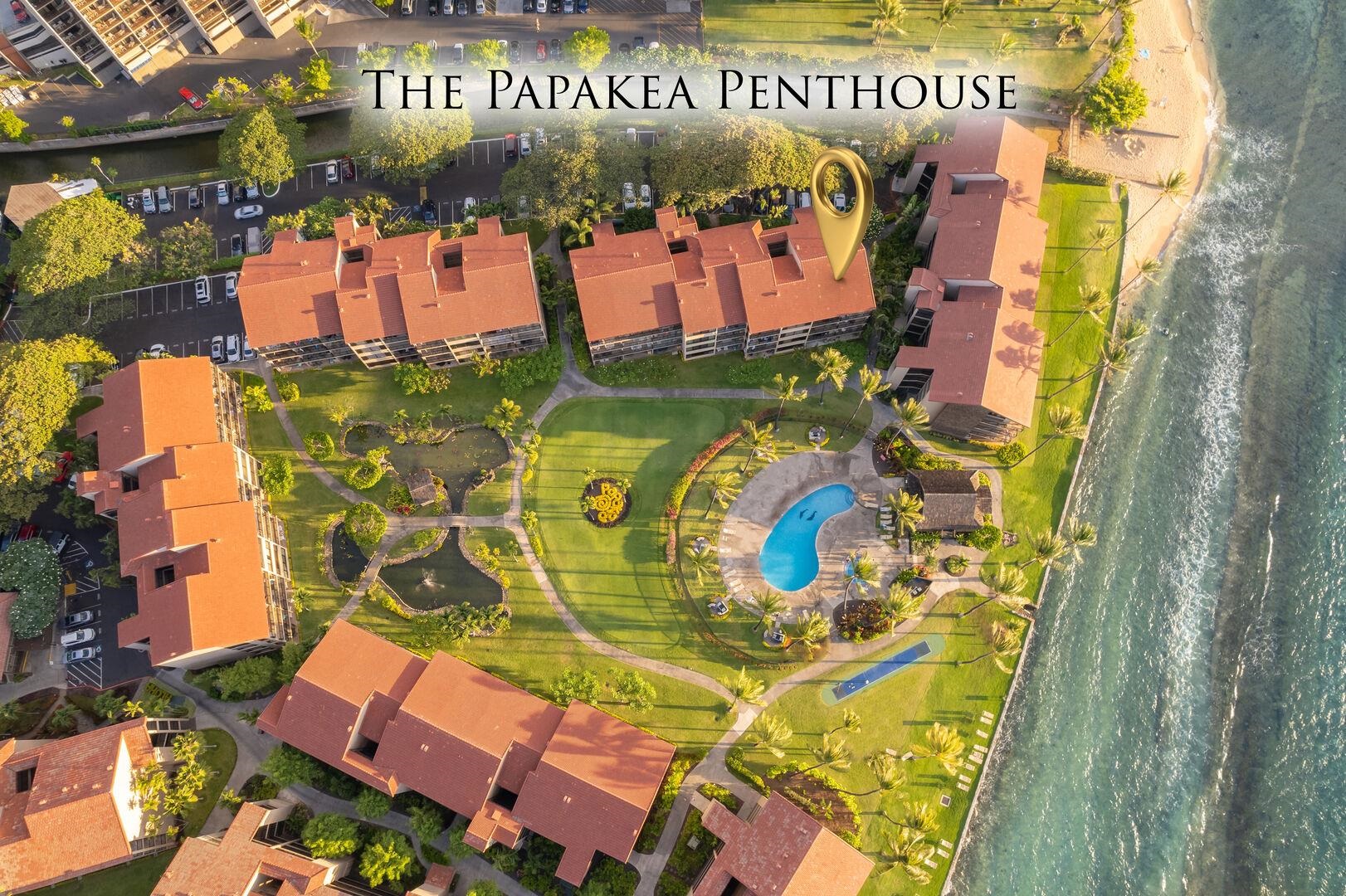 Papakea Resort I II condo # K-401, Lahaina, Hawaii - photo 22 of 22