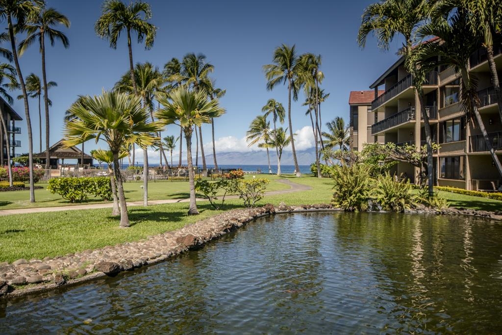 Papakea Resort I II condo # L-101, Lahaina, Hawaii - photo 30 of 34