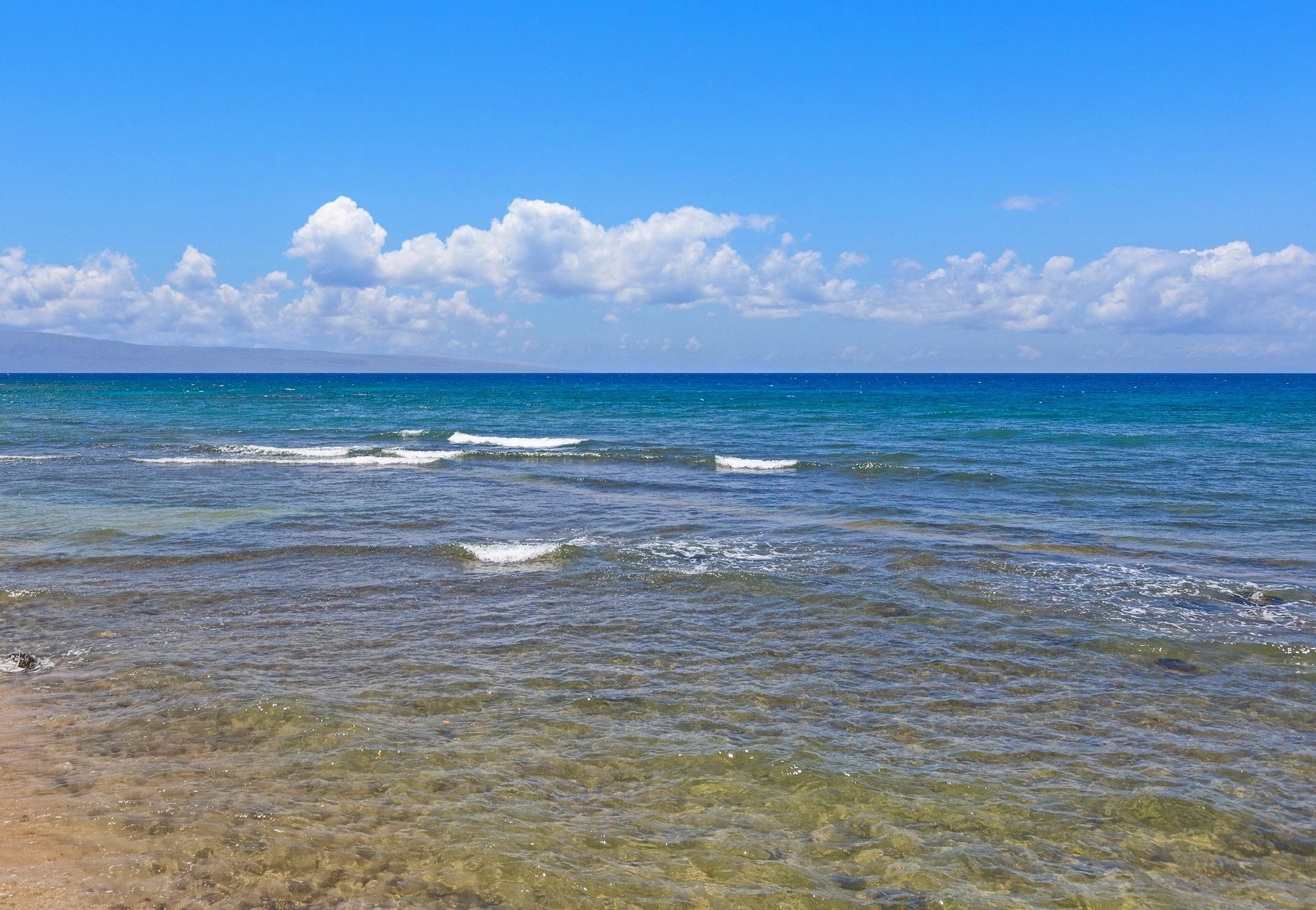 Papakea Resort I II condo # L104, Lahaina, Hawaii - photo 2 of 41