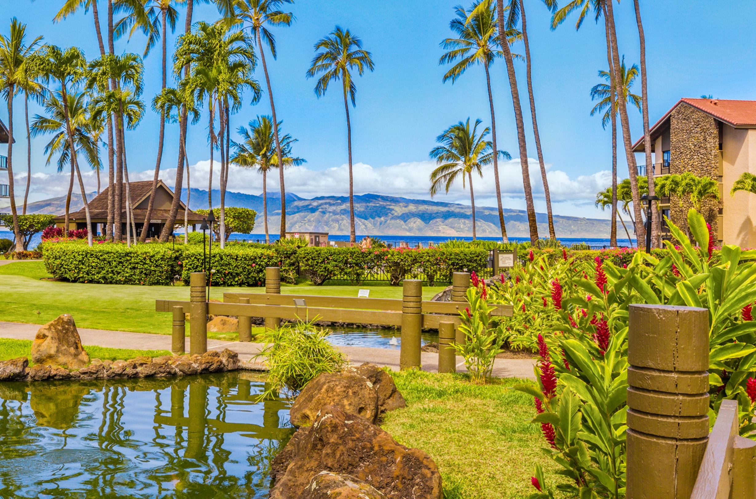 Papakea Resort I II condo # L104, Lahaina, Hawaii - photo 36 of 41