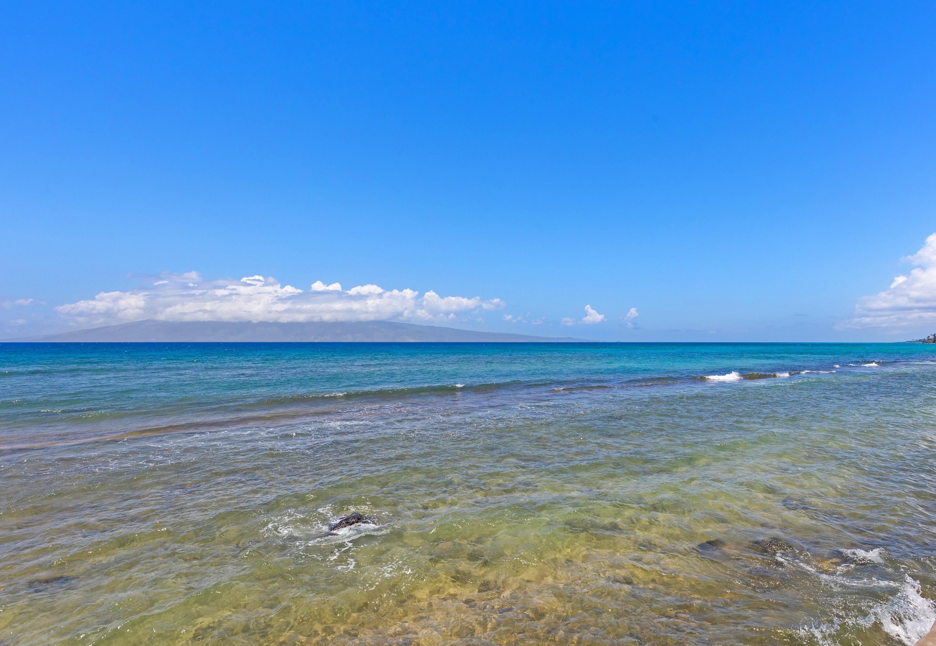 Papakea Resort I II condo # L104, Lahaina, Hawaii - photo 9 of 41