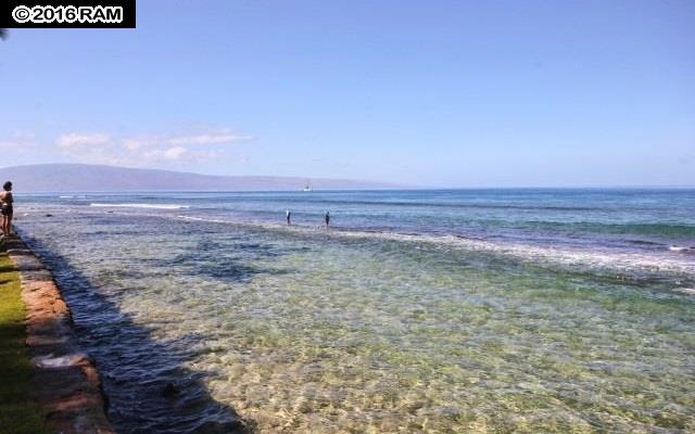 Papakea Resort I II condo # L-106, Lahaina, Hawaii - photo 17 of 18