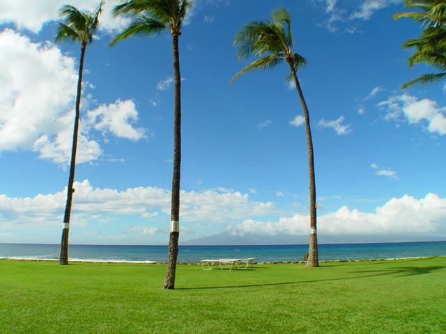 Papakea Resort I II condo # L202, Lahaina, Hawaii - photo 22 of 22