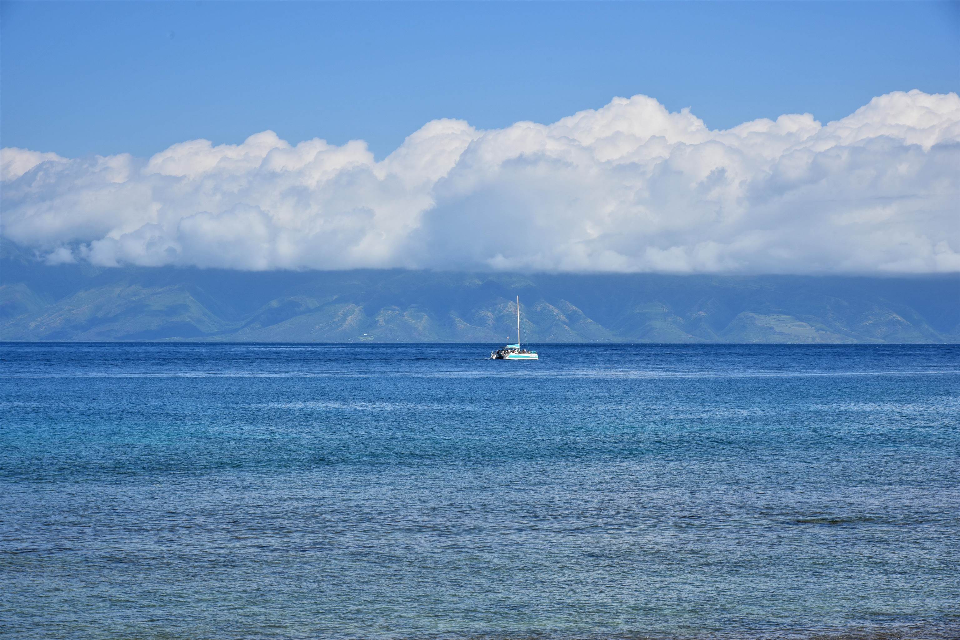 Papakea Resort I II condo # L204, Lahaina, Hawaii - photo 3 of 43