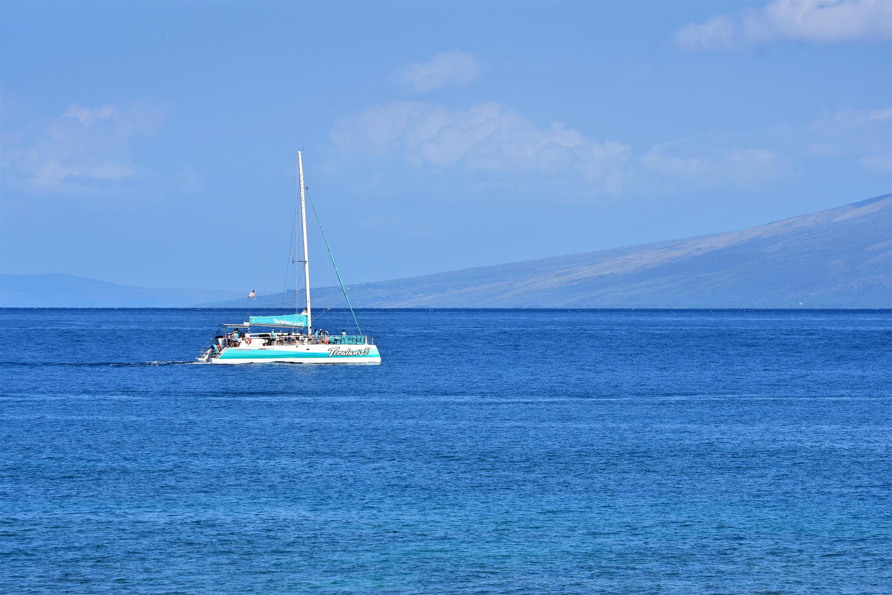Papakea Resort I II condo # L204, Lahaina, Hawaii - photo 23 of 43