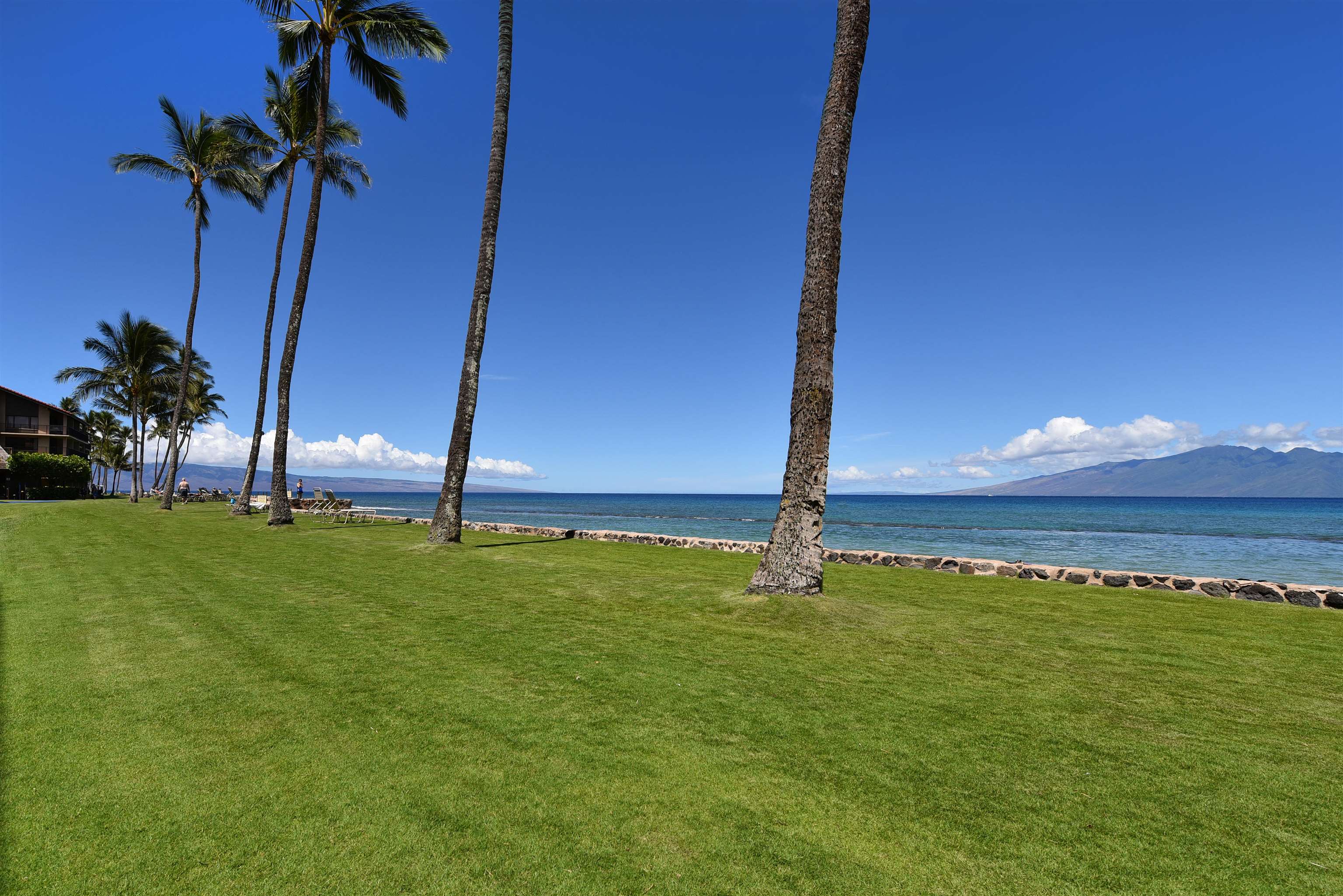 Papakea Resort I II condo # L204, Lahaina, Hawaii - photo 31 of 43