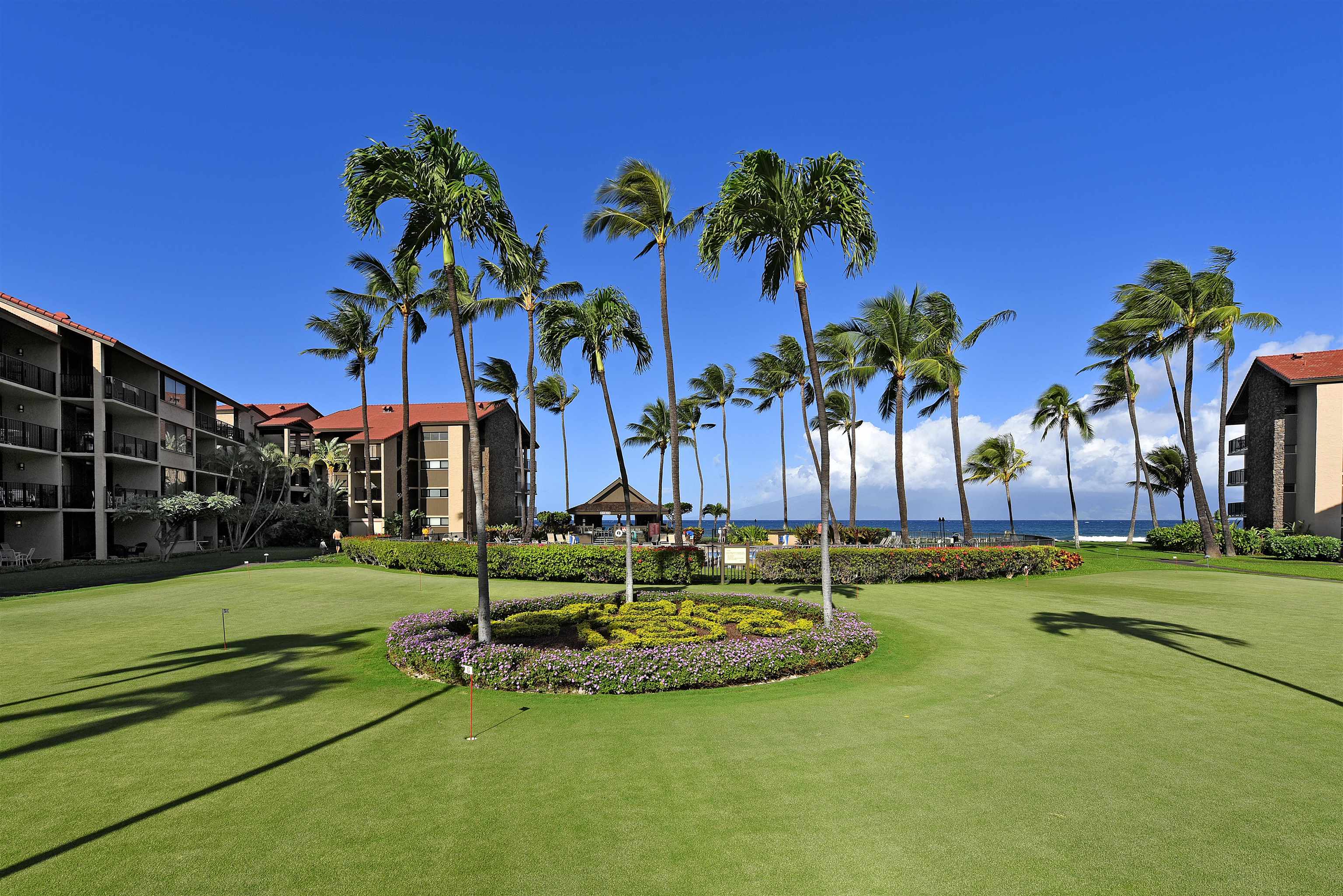 Papakea Resort I II condo # L204, Lahaina, Hawaii - photo 38 of 43