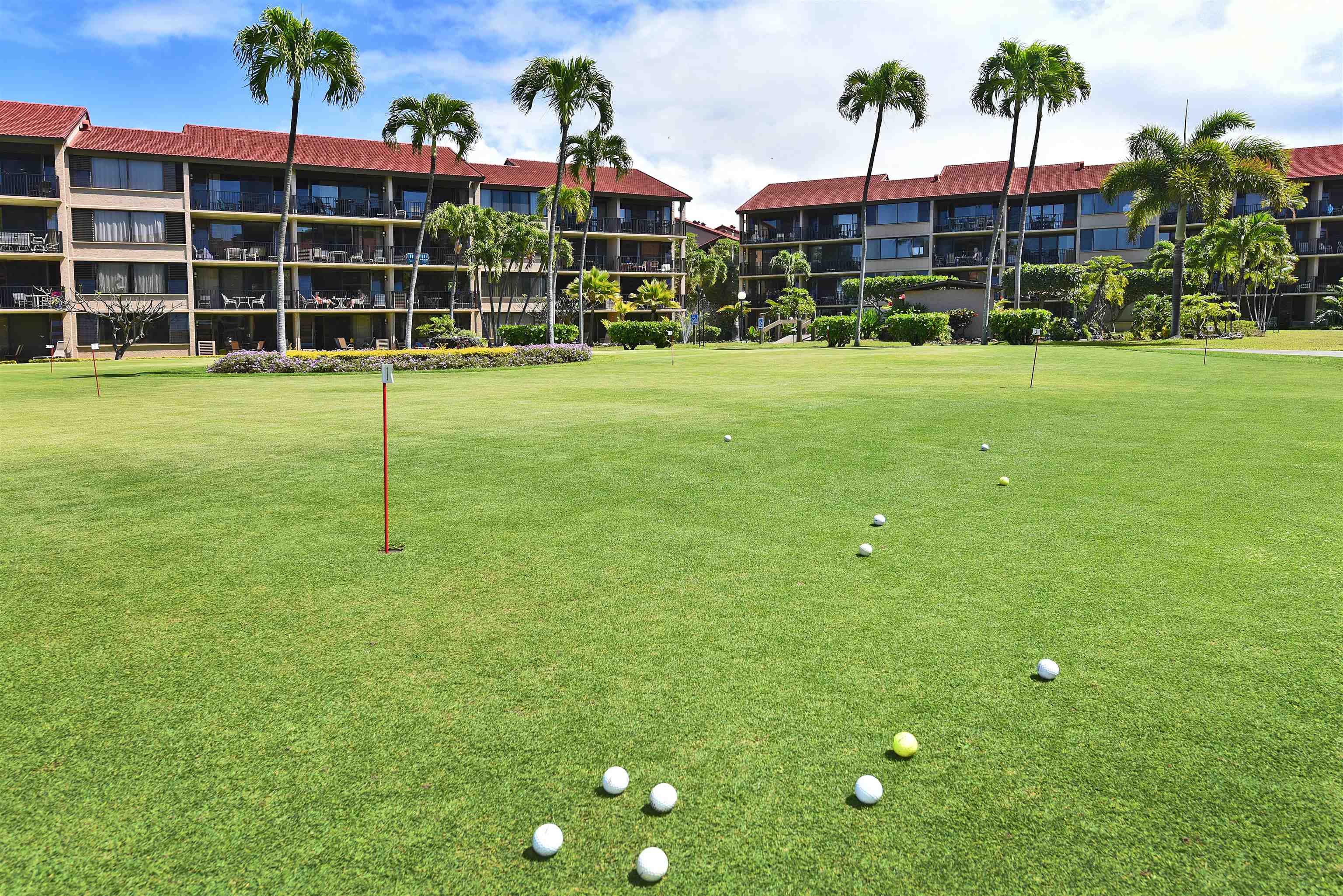 Papakea Resort I II condo # L204, Lahaina, Hawaii - photo 39 of 43