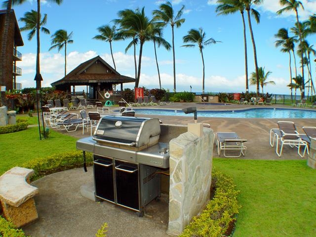 Papakea Resort I II condo # L205, Lahaina, Hawaii - photo 24 of 26