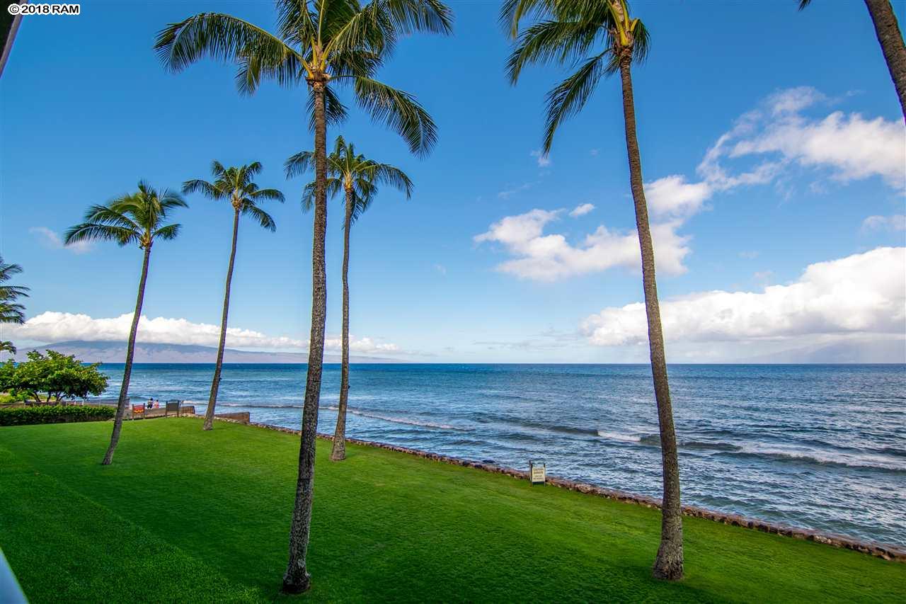Papakea Resort I II condo # L-206, Lahaina, Hawaii - photo 4 of 30