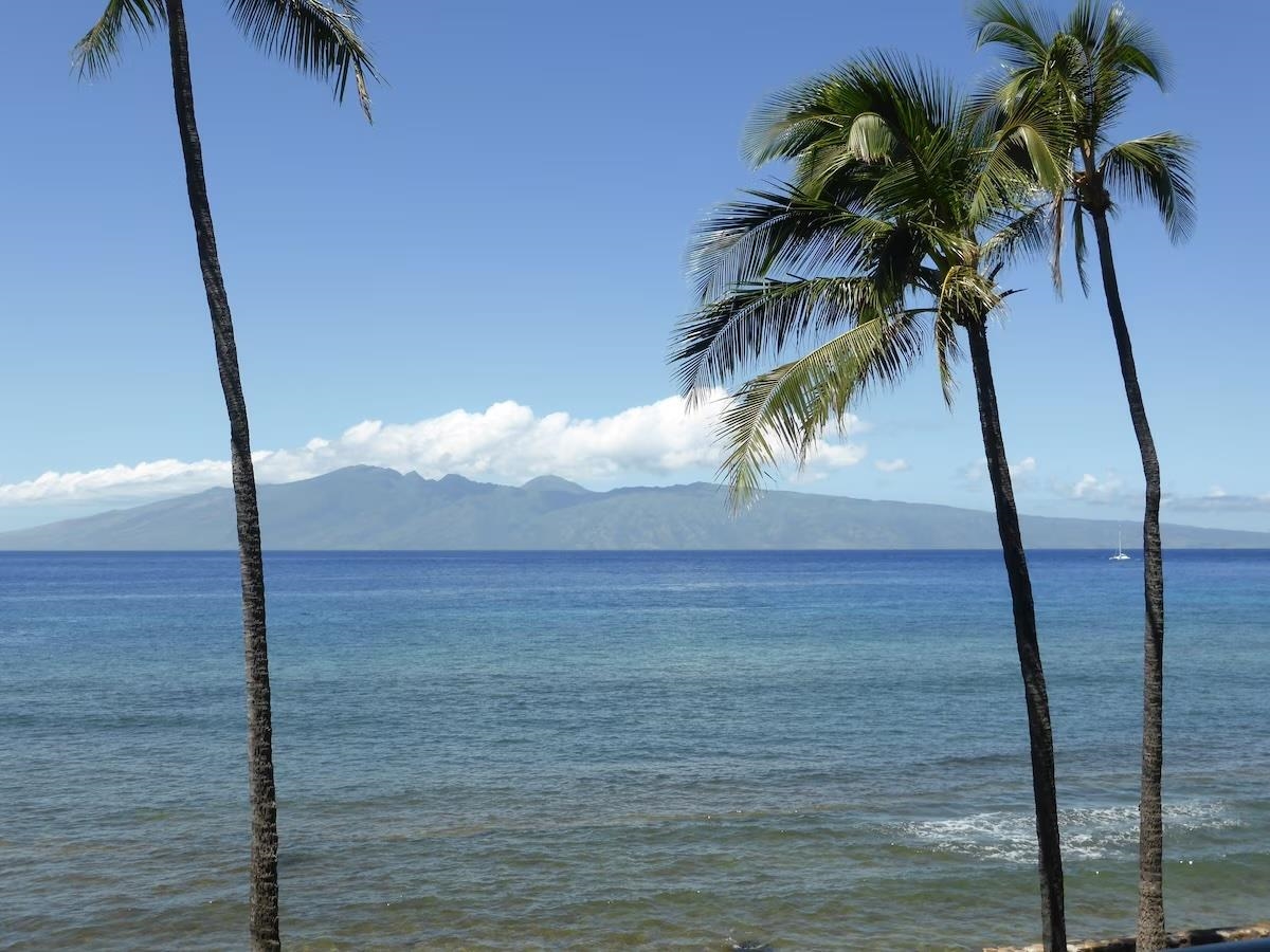 Papakea Resort I II condo # L-302, Lahaina, Hawaii - photo 37 of 47