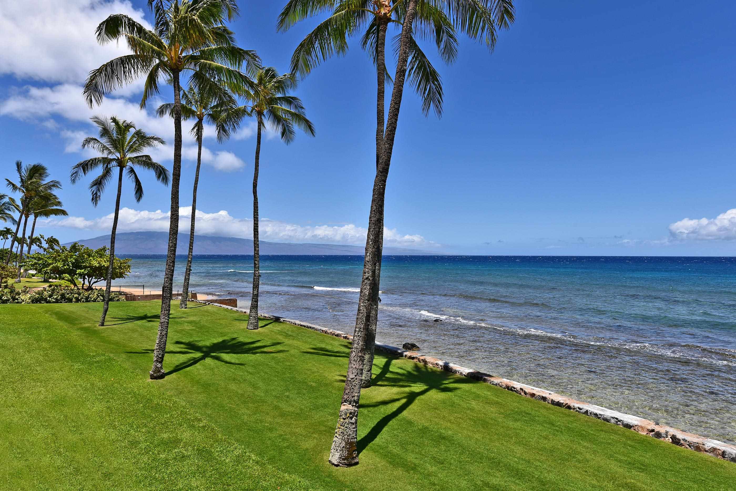 Papakea Resort I II condo # L304, Lahaina, Hawaii - photo 15 of 50