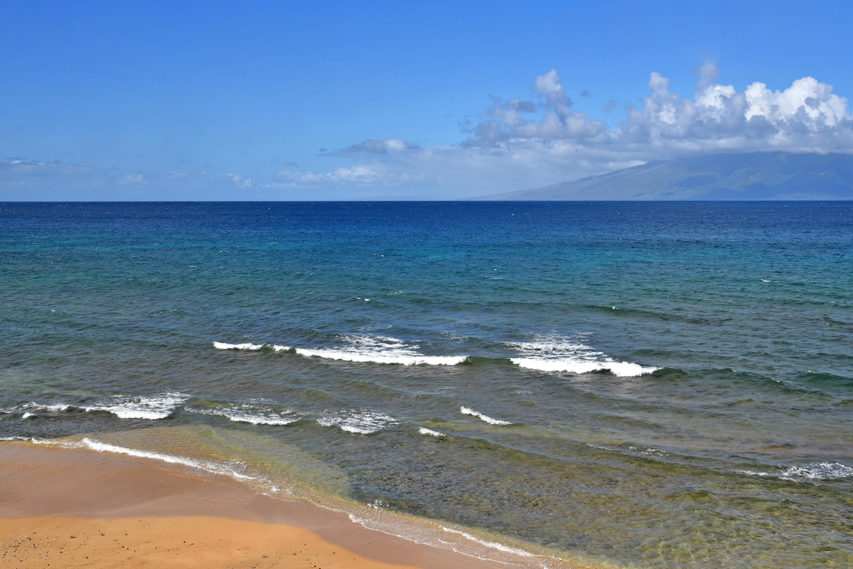 Papakea Resort I II condo # L304, Lahaina, Hawaii - photo 37 of 50