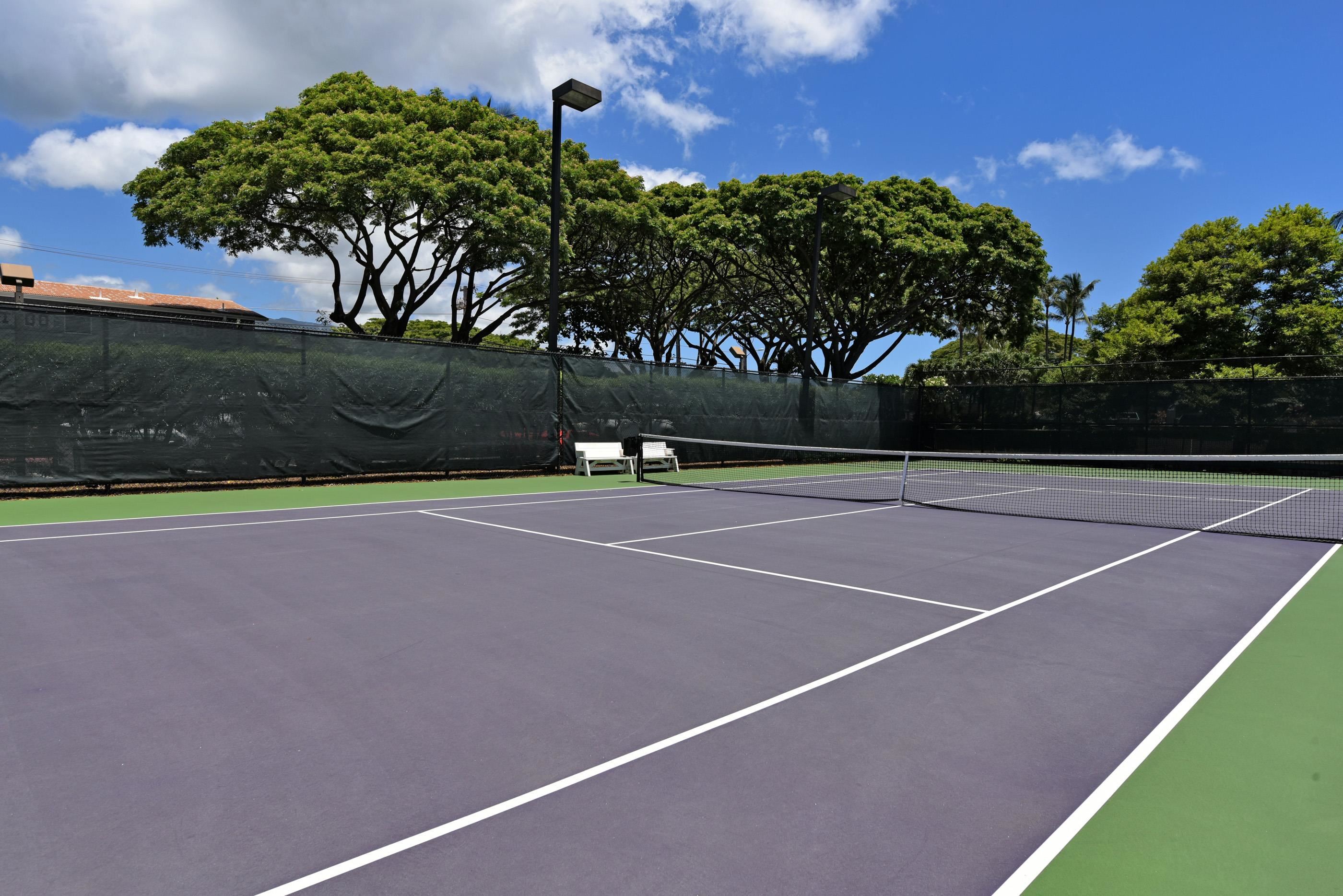 Papakea Resort I II condo # L304, Lahaina, Hawaii - photo 46 of 50