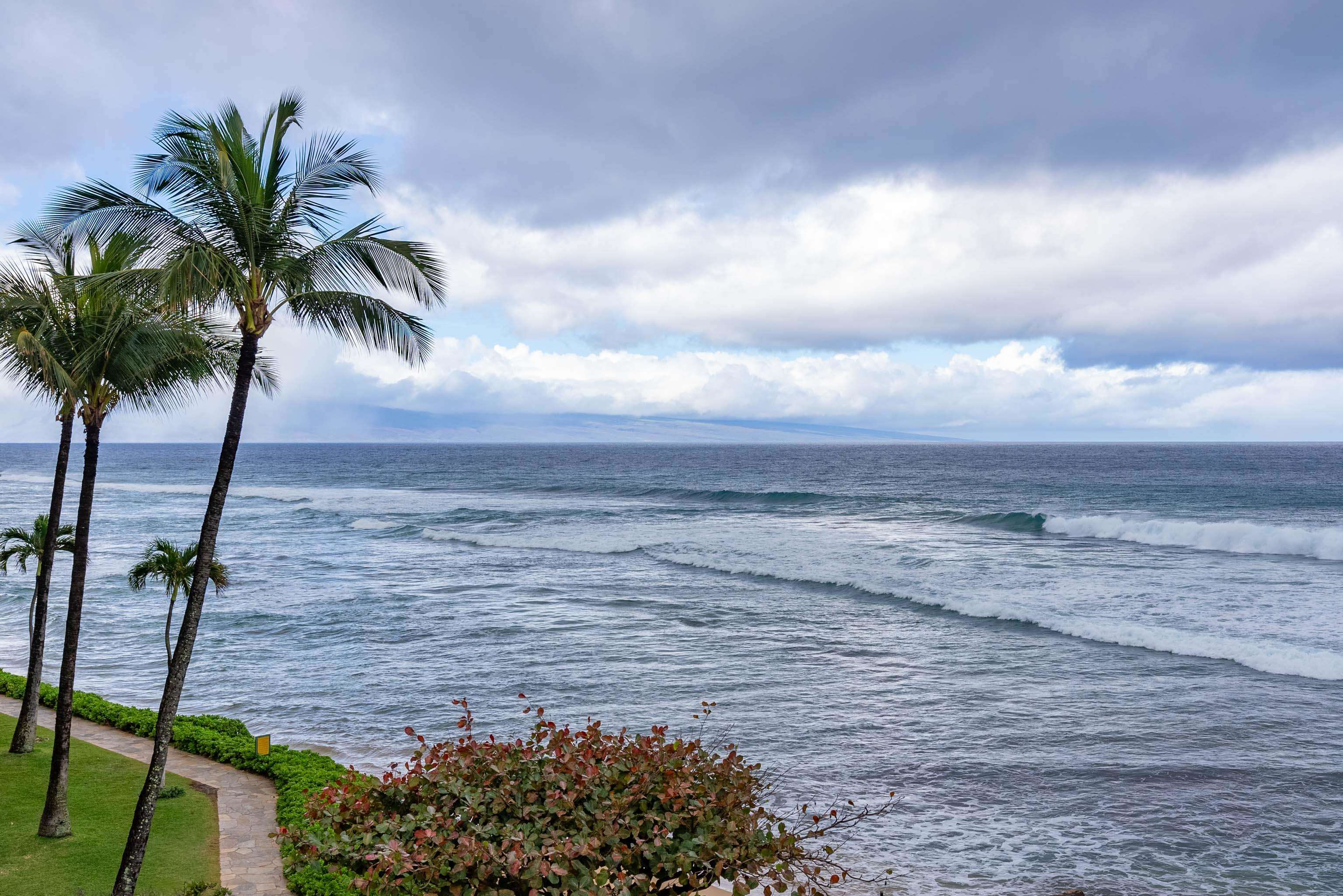 Papakea Resort I II condo # L401, Lahaina, Hawaii - photo 24 of 40