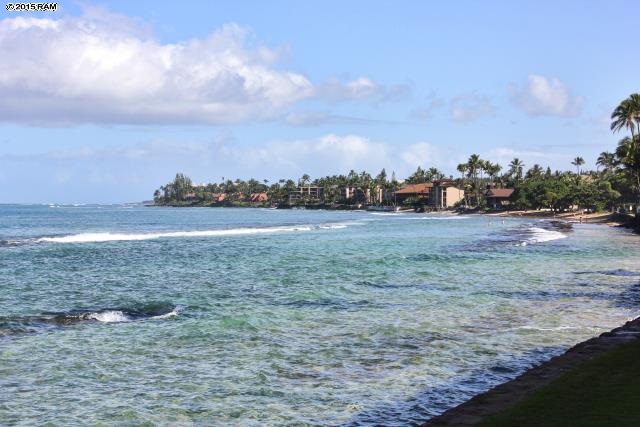 Papakea Resort I II condo # F103, Lahaina, Hawaii - photo 18 of 22