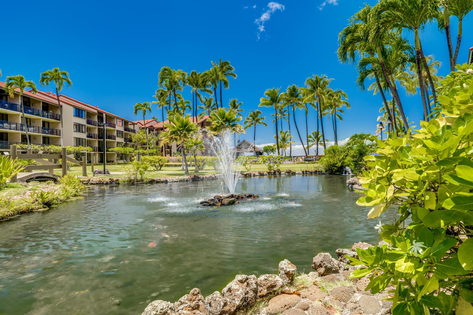 Papakea Resort I II condo # D309, Lahaina, Hawaii - photo 29 of 34