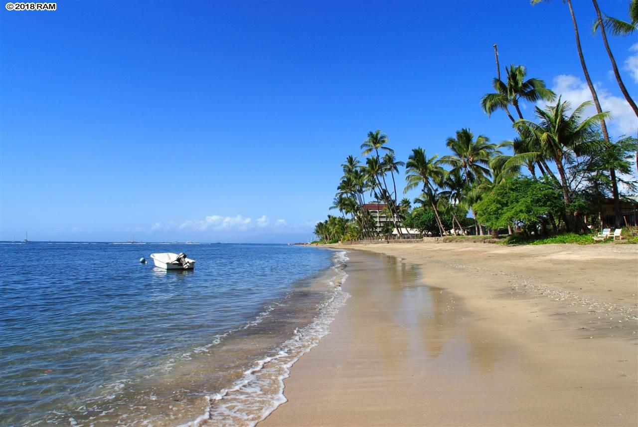 355  Front St , Lahaina home - photo 29 of 29