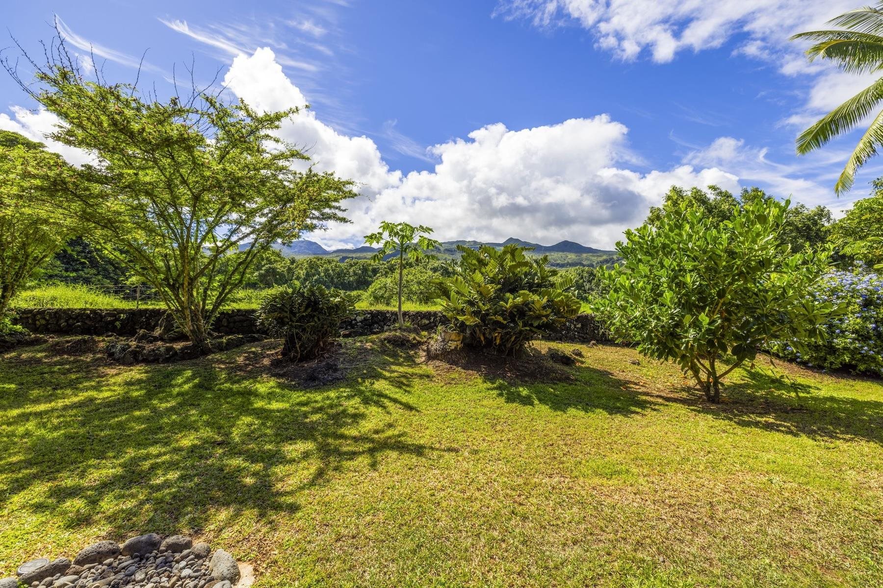 355  Haneoo Rd Koki / Hamoa, Hana home - photo 35 of 50