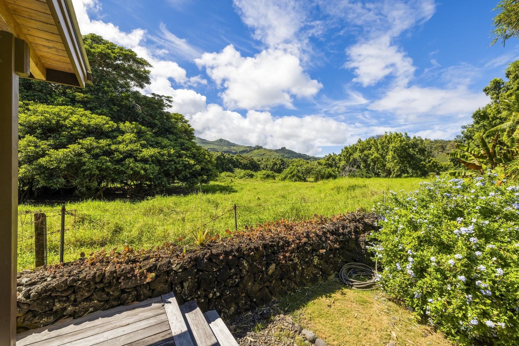 355  Haneoo Rd Koki / Hamoa, Hana home - photo 41 of 50