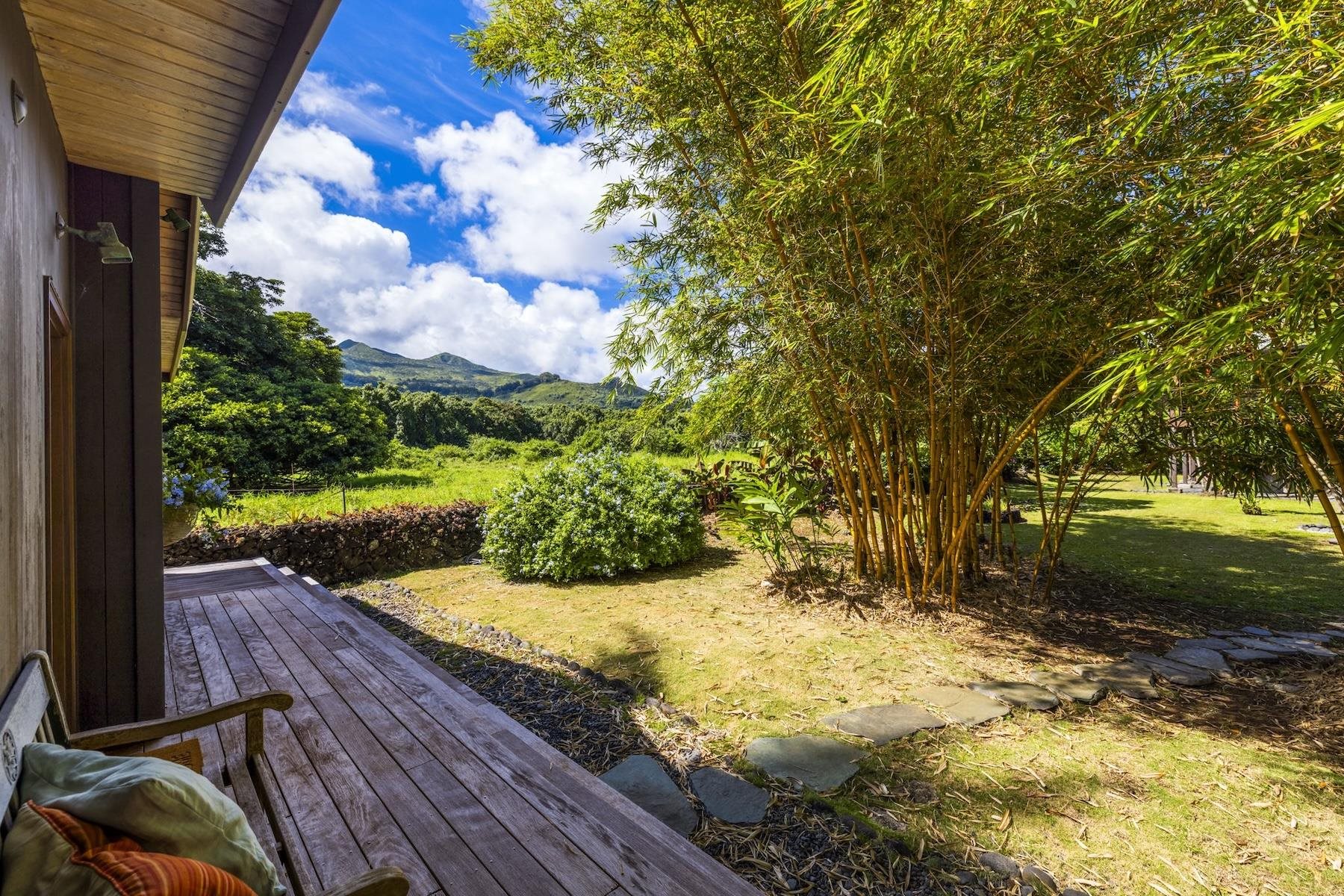 355  Haneoo Rd Koki / Hamoa, Hana home - photo 42 of 50