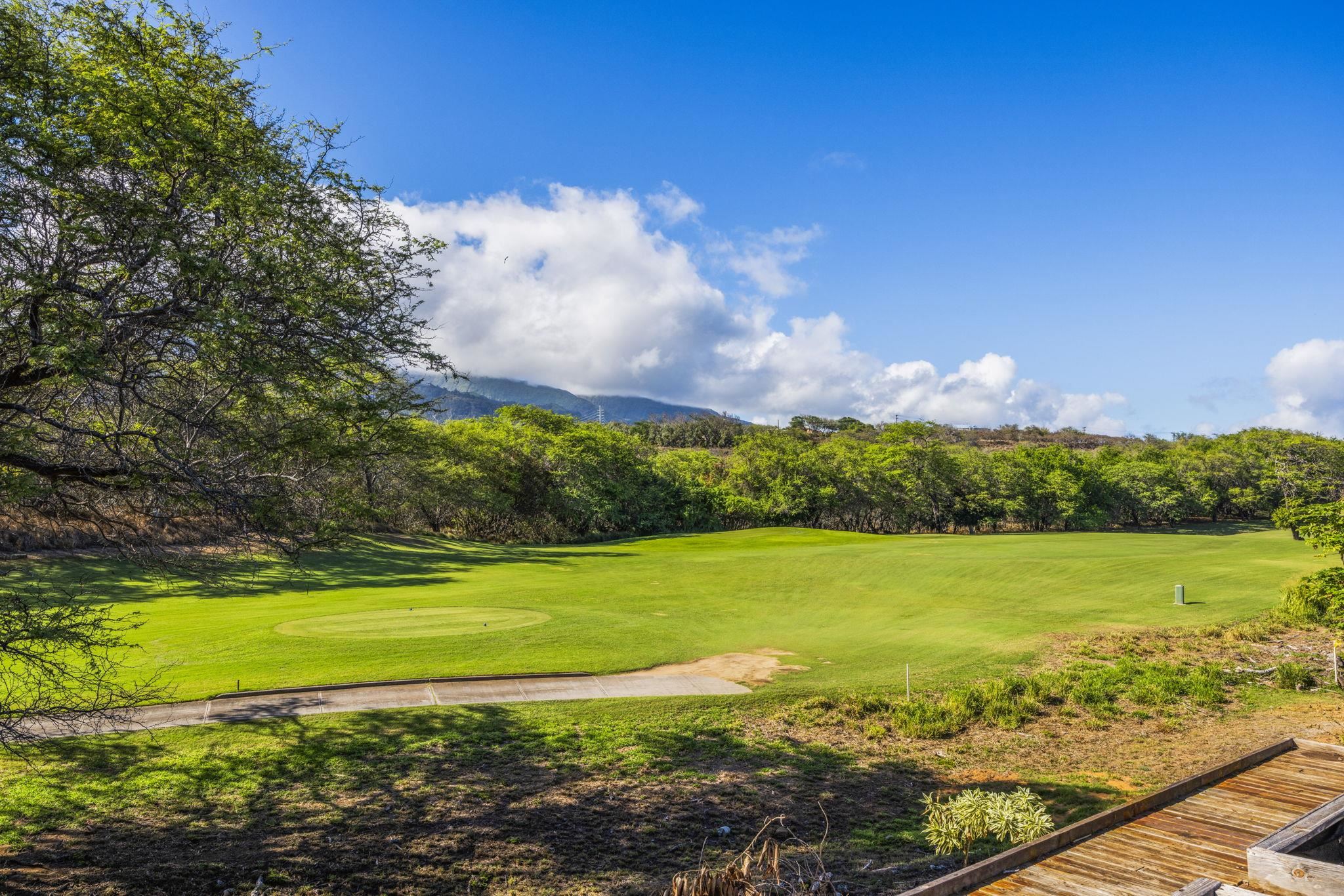 355  Kamalei Cir The Islands, Kahului home - photo 46 of 48