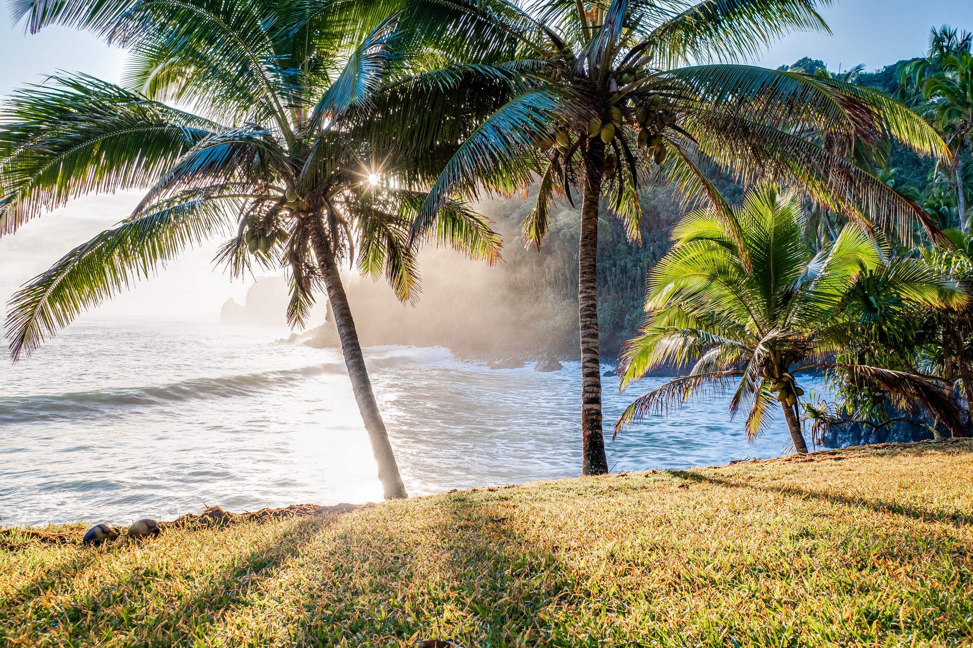 355  Wailua Rd Wailua-ke'anae, Hana home - photo 13 of 50