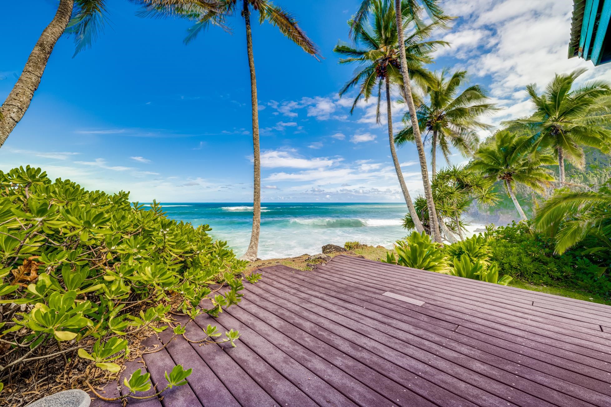 355  Wailua Rd Wailua-ke'anae, Hana home - photo 38 of 50
