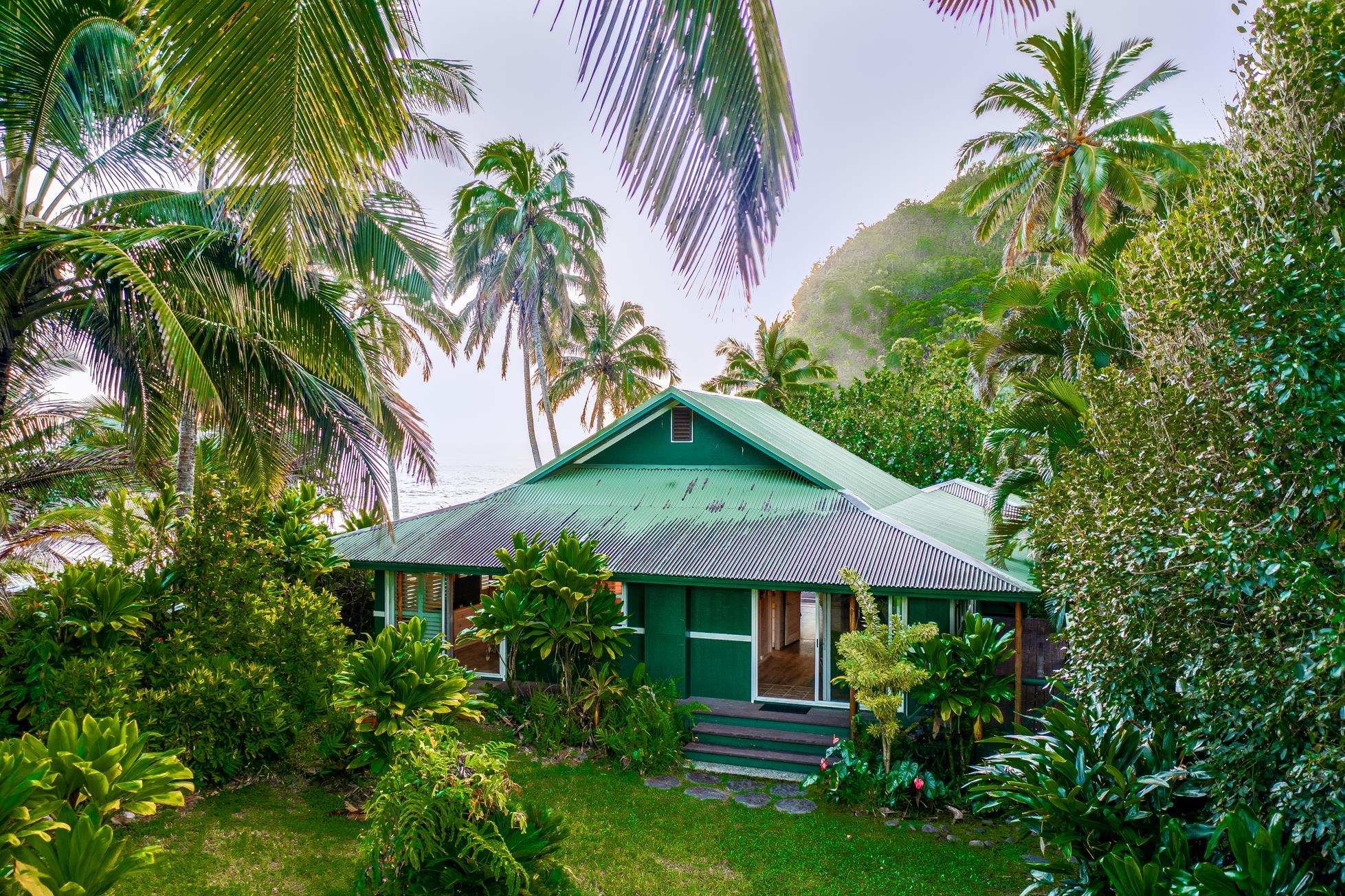 355  Wailua Rd Wailua-ke'anae, Hana home - photo 40 of 50