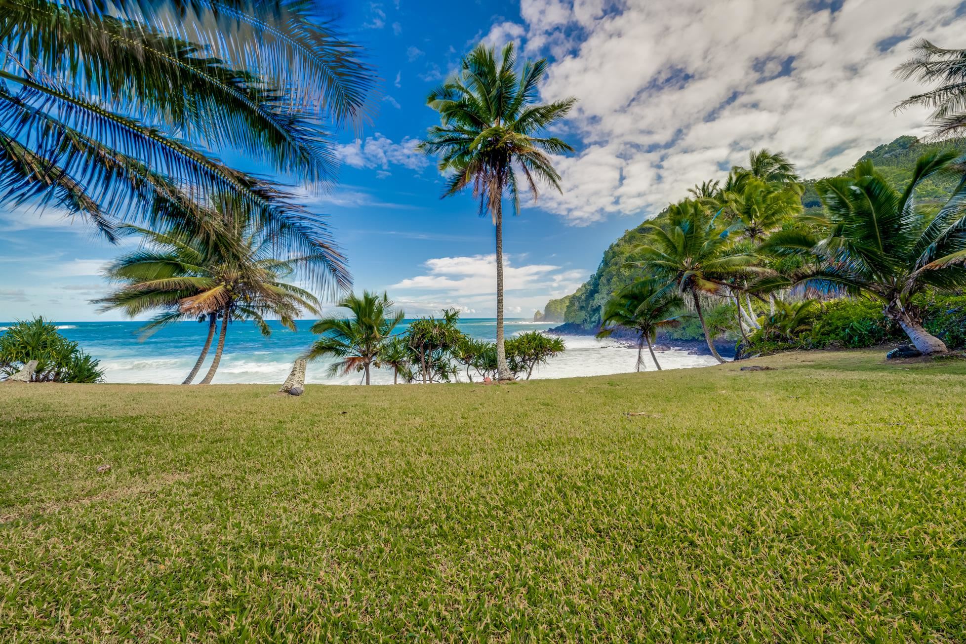 355  Wailua Rd Wailua-ke'anae, Hana home - photo 45 of 50