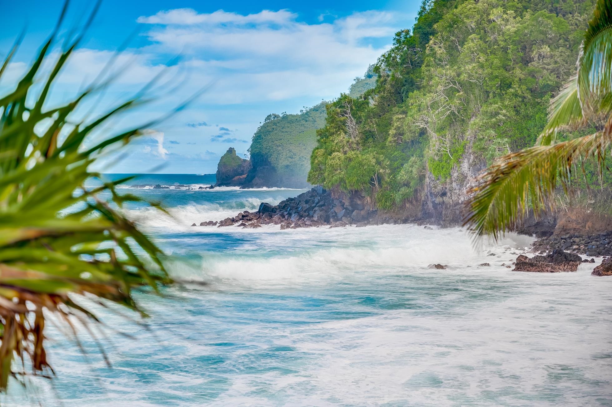 355  Wailua Rd Wailua-ke'anae, Hana home - photo 46 of 50