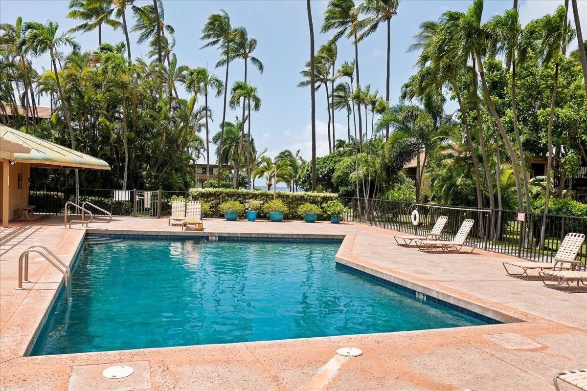 Maui Sands I condo # 1D, Lahaina, Hawaii - photo 27 of 36