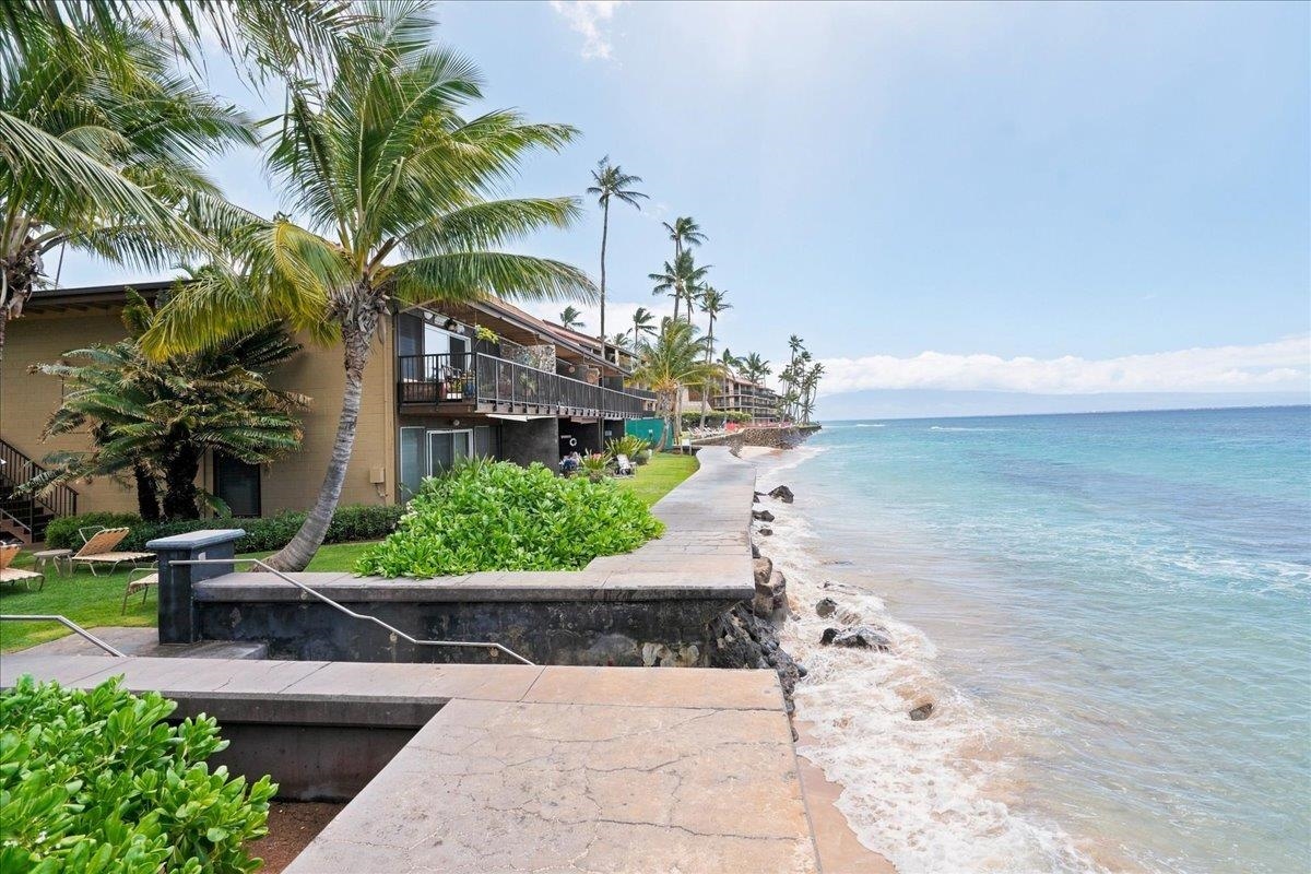 Maui Sands I condo # 1D, Lahaina, Hawaii - photo 31 of 36