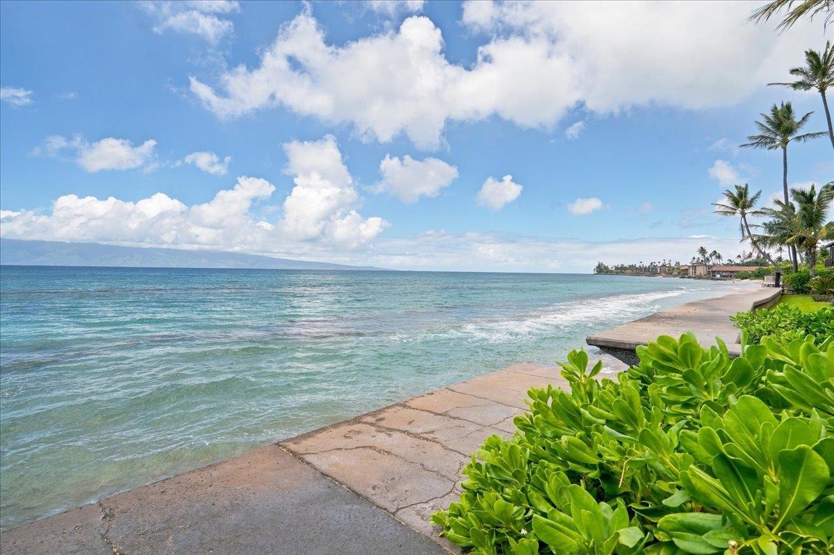 Maui Sands I condo # 1D, Lahaina, Hawaii - photo 32 of 36