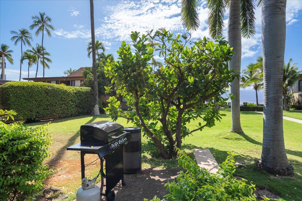 Maui Sands I condo # 2A, Lahaina, Hawaii - photo 27 of 32