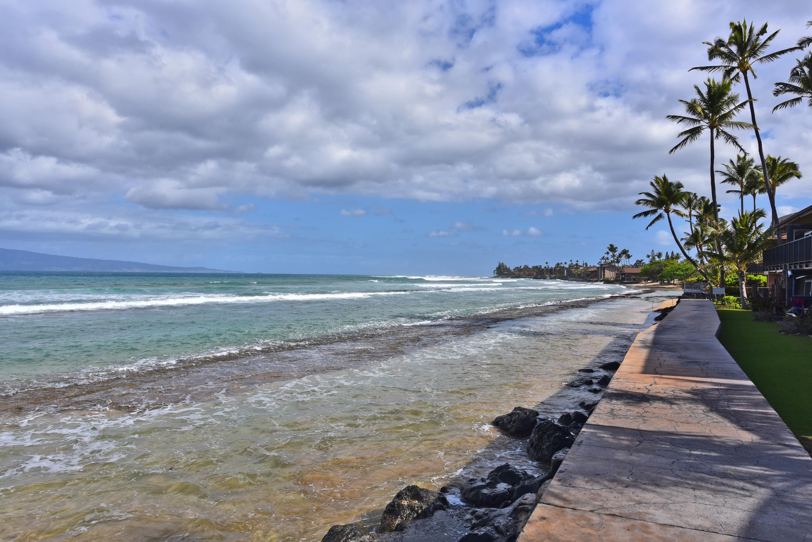 Maui Sands I condo # 3A, Lahaina, Hawaii - photo 29 of 39