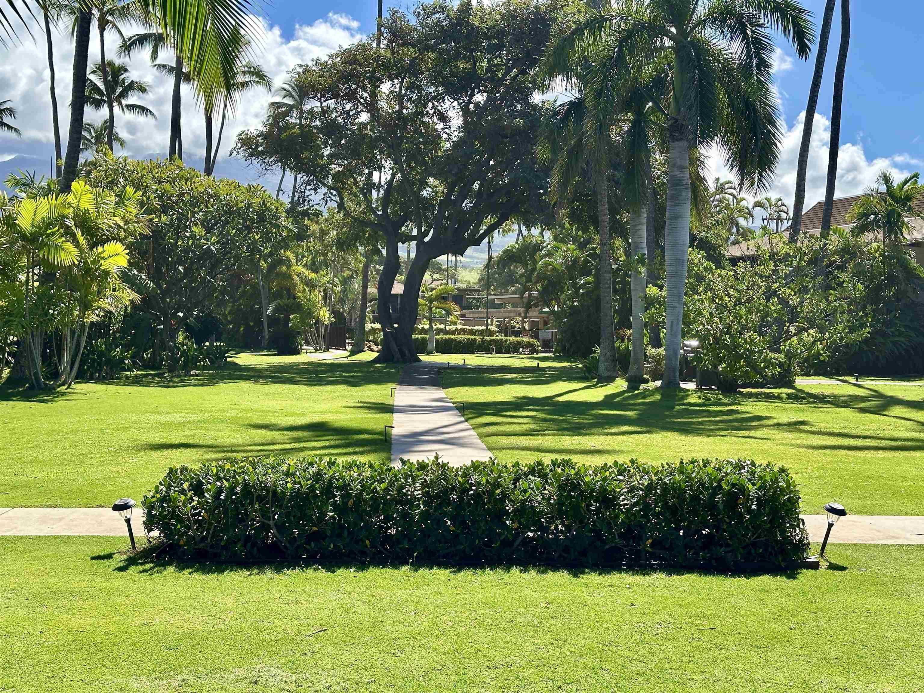 Maui Sands I condo # 3A, Lahaina, Hawaii - photo 34 of 39