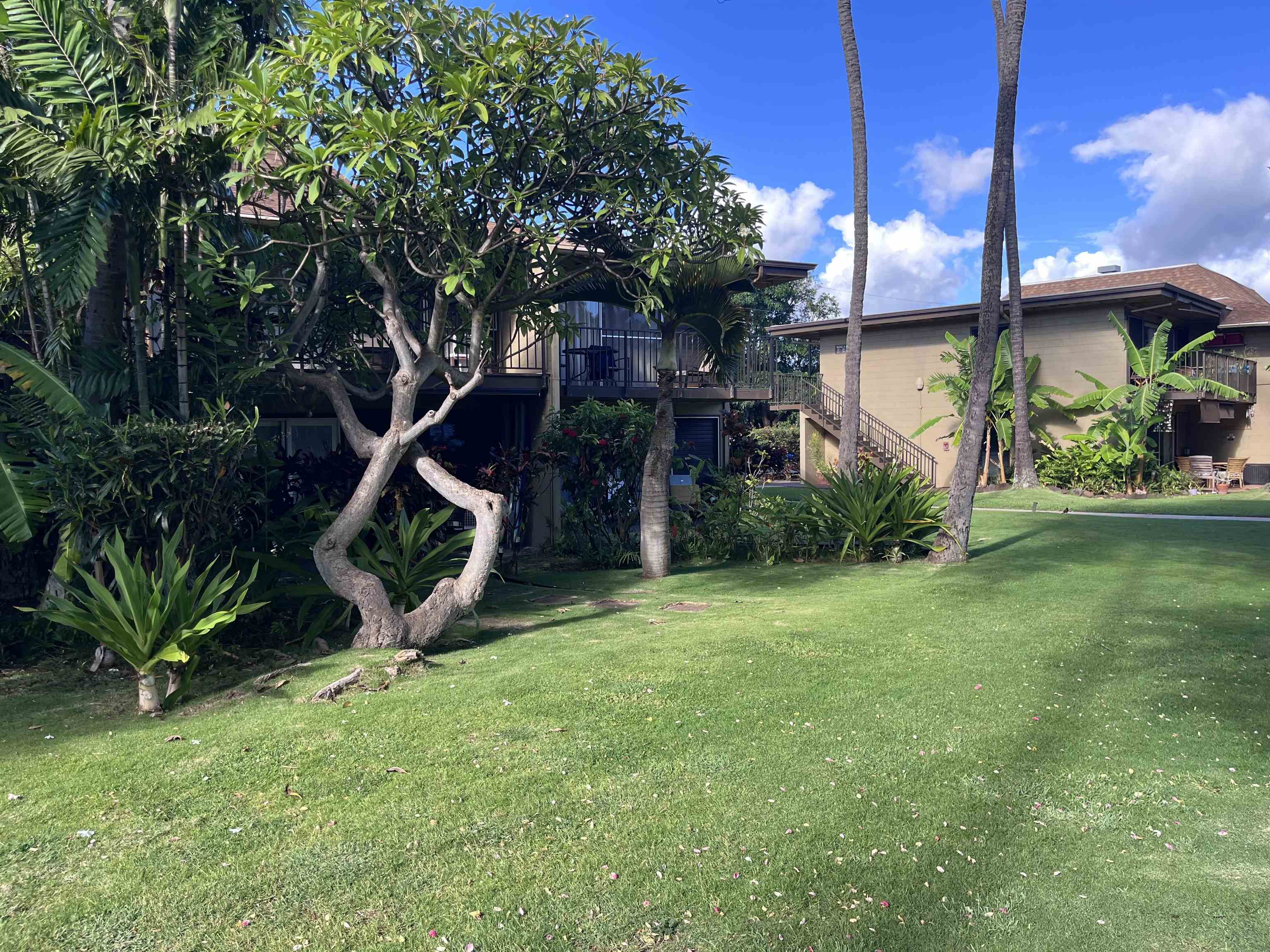 Maui Sands I condo # 3C, Lahaina, Hawaii - photo 2 of 22