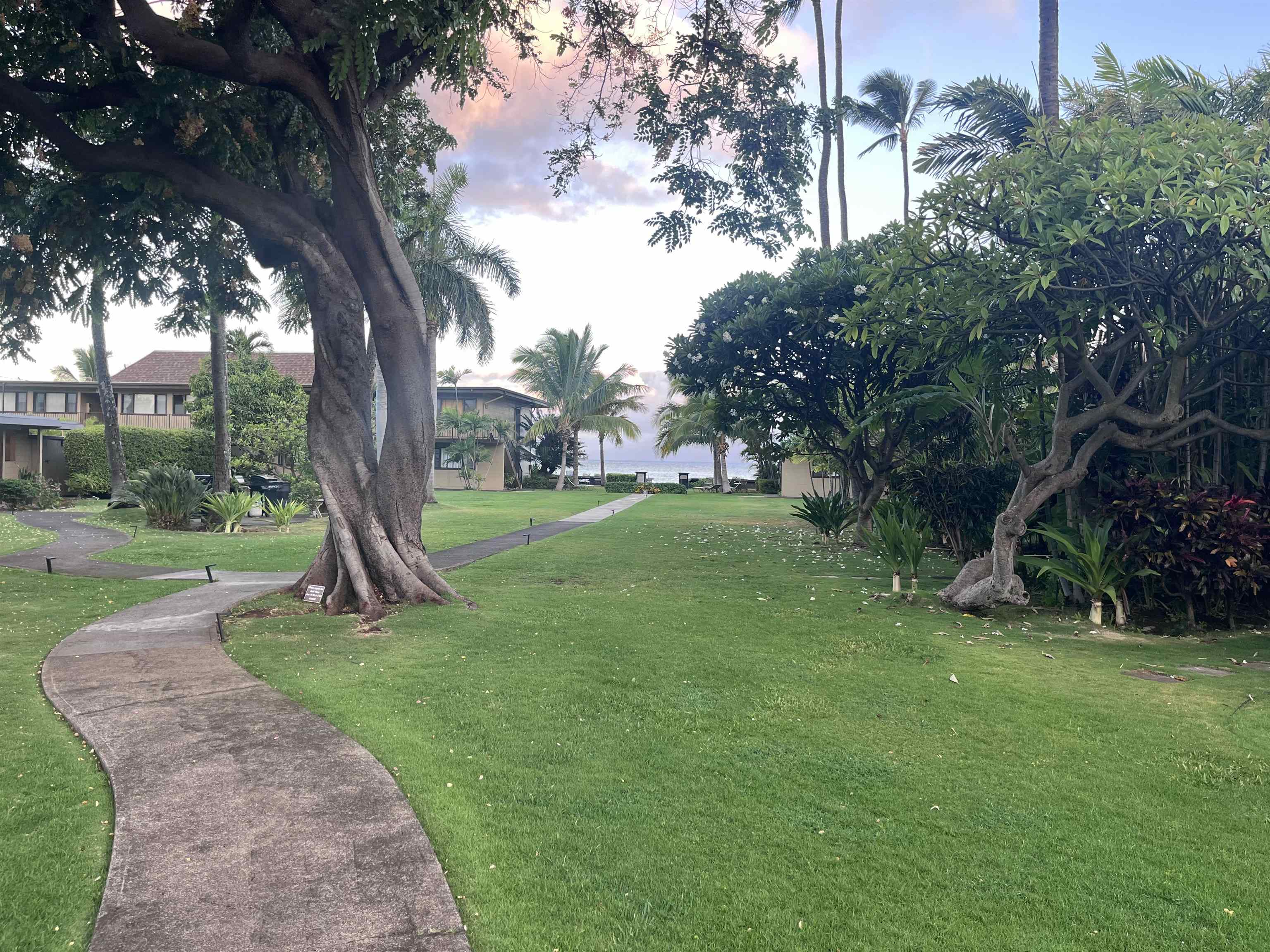 Maui Sands I condo # 3C, Lahaina, Hawaii - photo 6 of 22